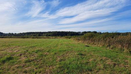 Botanica – Margiai peatland pilot site, Lithuania