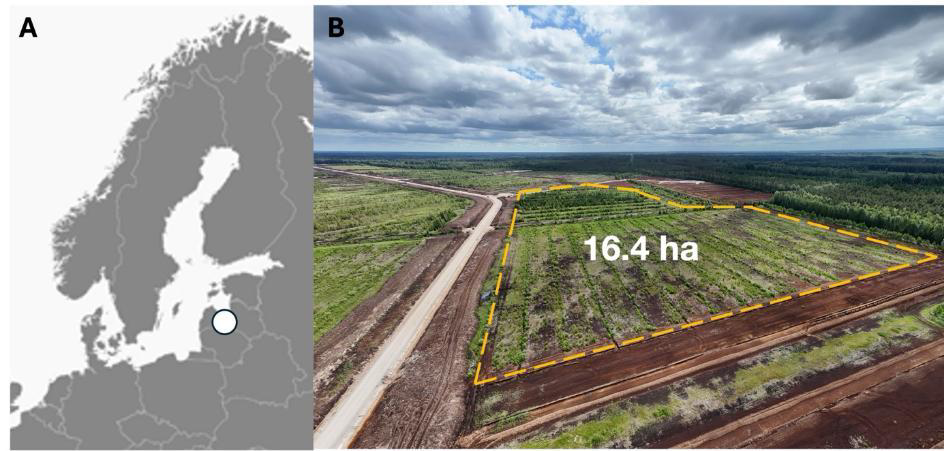 Botanica – Kaigu peatland pilot site, Latvia (16.4 ha), aerial view